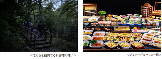 箱根小涌園で楽しむ初夏の風物詩　箱根小涌園 蓬莱園にて“ほたる”の飛翔を確認 ～ほたる観賞ツアーやほたるディナービュッフェを開催～