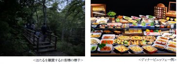 箱根小涌園で楽しむ初夏の風物詩　箱根小涌園 蓬莱園にて“ほたる”の飛翔を確認 ～ほたる観賞ツアーやほたるディナービュッフェを開催～