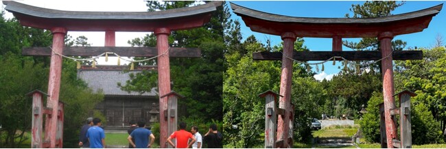 【伝統文化と環境福祉の専門学校】佐渡市・二宮(にくう)神社、火災被害から復興へ！宮大工を目指す学生の力で地域の宝を蘇らせる