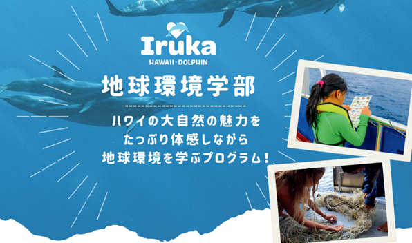 自然を学び、野生のイルカと出会える「地球環境学部」設立　研修・修学旅行向け学習プログラムをお届け
