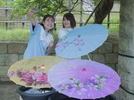 ▲和傘で彩られた「地の巻」エリア ▲和傘で彩られた「地の巻」エリア