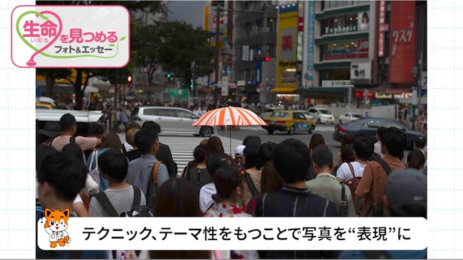日本医師会、生命を見つめるフォト＆エッセー作品募集の動画を公開