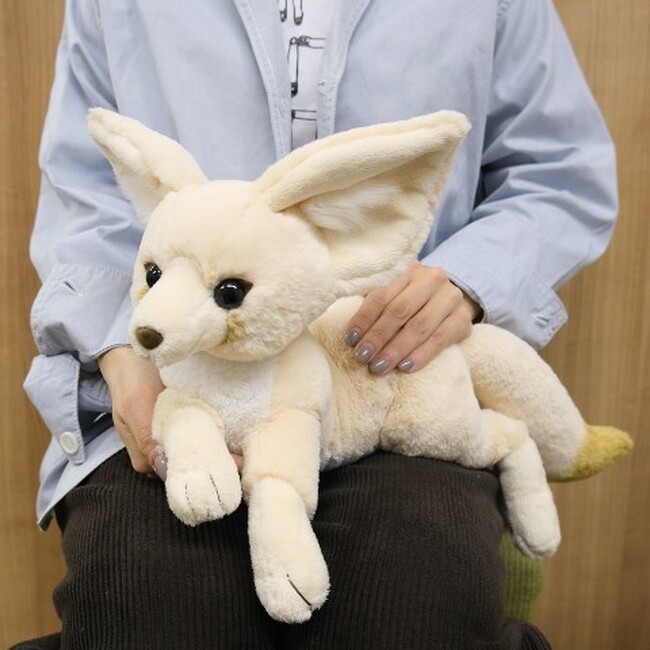 【癒し】大人気ぬいぐるみシリーズ「ひざシリーズ」にフェネックが登場！