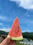 ふりやスイカ ふりやスイカ
