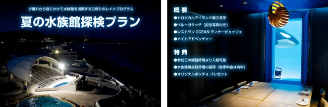 【鴨川シーワールド】鴨川シーワールド「夏の水族館探検プラン」開催