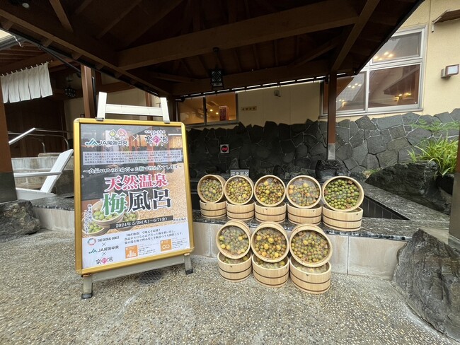 天然温泉こまき楽の湯を食料ロスの梅で埋め尽くします！スーパー銭湯がすっぱい銭湯に！