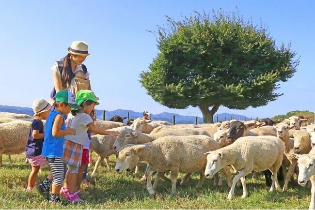【千葉県民必見】　千葉県在住のこどもはマザー牧場の入場料が“無料”に！　オトクが嬉しい「千葉県民感謝ウィーク」6月1日～16日に開催！
