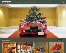 DRYBONSAI Global online 1 DRYBONSAI Global online 1