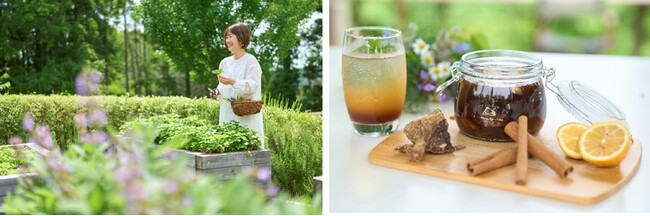 夏の太陽と大地が生み出す“自然の香り”に、心身ともに癒される体験プログラムが満載「香りと旅するフェア」6月1日（土）～8月31日（土）開催