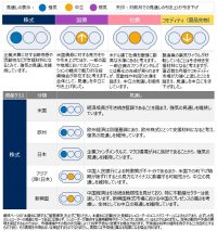 グローバル市場見通し(2024年5月)~株式見通しは強気を維持~