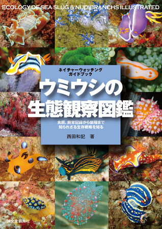 ウミウシの知られていなかった接餌や繁殖などの生態、生存戦略などを明らかにした画期的な図鑑。