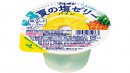 夏の塩ゼリーパイン
