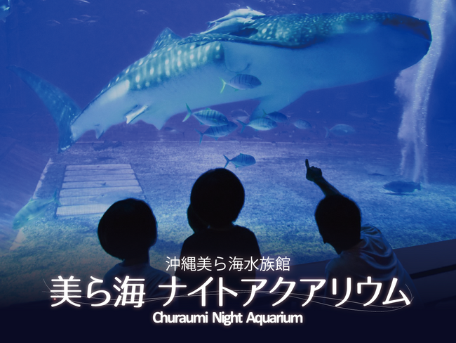 【沖縄美ら海水族館】「美ら海ナイトアクアリウム」～心地よいBGM、夏の夜・水族館で特別な時間を～夏季営業時間の延長案内