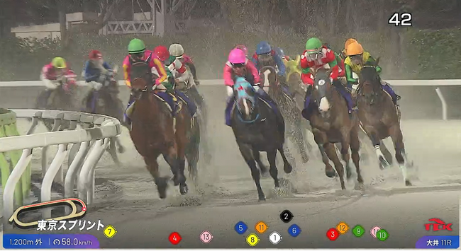競走馬のポジションやスピードをリアルタイムで表示！レース映像をより観やすく、わかりやすくお届けする競走馬トラッキングシステムの運用を開始！！