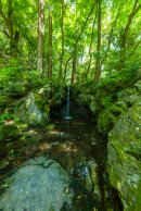 無量寿苑(3) 無量寿苑(3)