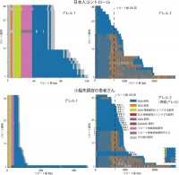 ナノポアシークエンス解析により日本人におけるSCA27Bの遺伝学的特徴を解明