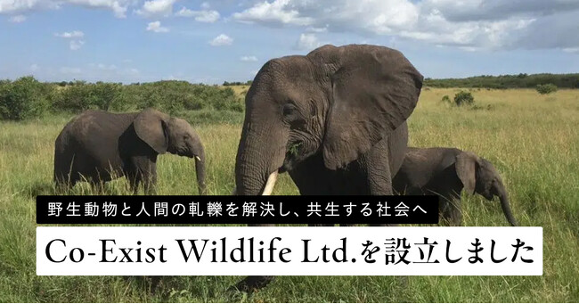 ゾウと人間の軋轢を解決する養蜂事業に取り組む新会社「Co-Exist Wildlife Ltd.」をケニアで設立