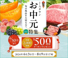 お中元イベントページ:https://www.ja-town.com/shop/e/eT1/ お中元イベントページ:https://www.ja-town.com/shop/e/eT1/