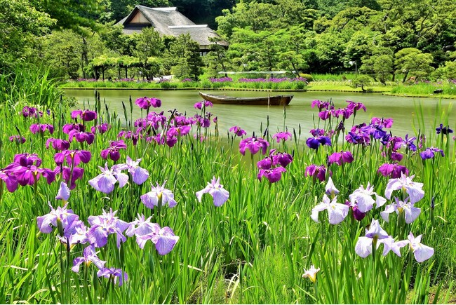 横浜・三溪園　風薫る季節のイベントを開催中