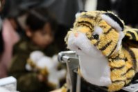 「YOXO FESTIVAL 2024」に、NHK「魔改造の夜」で激闘を繰り広げたモンスターたちが集結！
