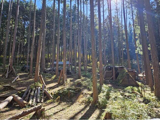 キャンプ愛好家必見！富良野市にアウトドアライフを叶える森林レンタルエリア誕生。