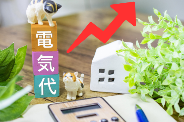 物価高騰・光熱費値上げが家計に重圧ーー物価高騰・光熱費上昇に負けない住宅ローン・エコ住宅への関心が急増