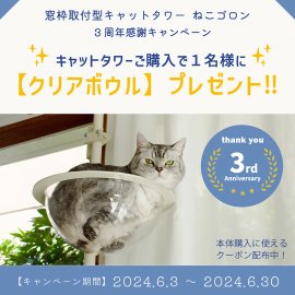 ねこゴロン3周年感謝キャンペーン ねこゴロン3周年感謝キャンペーン
