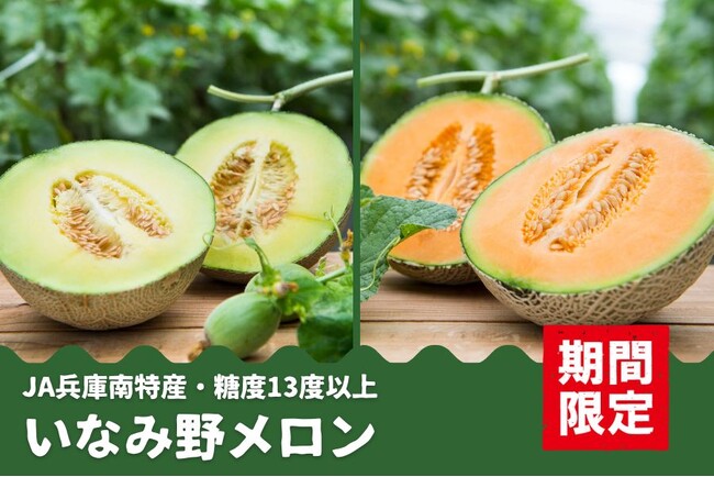 糖度13度以上！　兵庫県産「いなみ野メロン」（青肉・赤肉）の予約販売開始！7月1日から順次発送！
