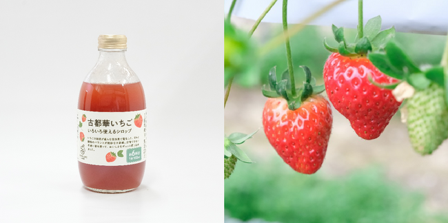 関西限定　「古都華いちご いろいろ使えるシロップ」　数量限定で新発売