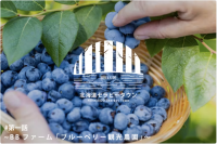 元不登校生たちが北海道の小さな町に移住して観光農園をスタート！第一弾「ブルーベリー観光農園」のクラファンが好調！