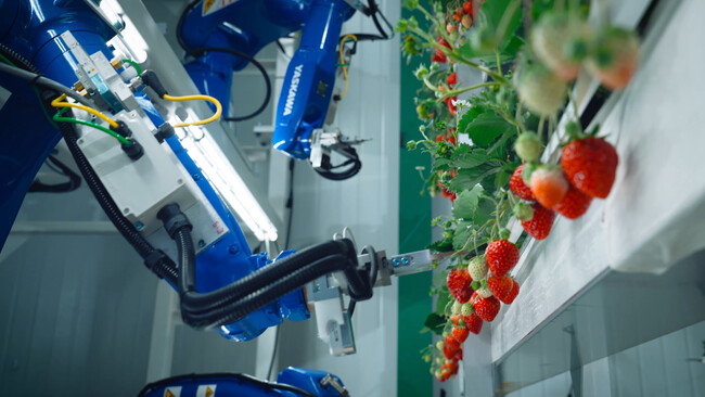 Oishii Farm、サステナビリティと自動化を追求した次世代植物工場「メガファーム」を稼働