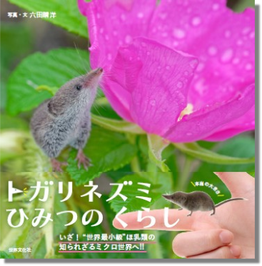 【書籍初公開の貴重写真あり】北海道に棲む珍獣 ≪トガリネズミ≫ の不思議で謎に満ちた暮らしに迫る写真絵本『トガリネズミ ひみつのくらし』が6月6日に発売！