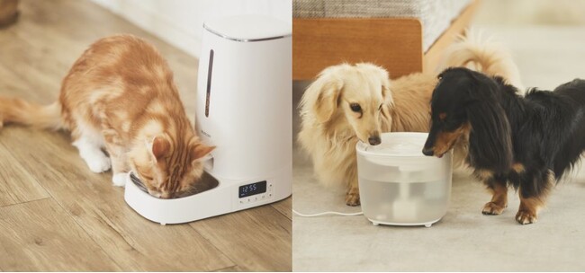 ペットのお留守番中も安心！エレコムのペット家電 mofult(モフルト)から、タイマー式自動給餌器とワイヤレスポンプ式自動給水器を新発売