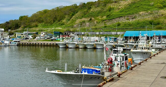 【北海道白糠町】官民連携でDX化推進、高付加価値漁業へ