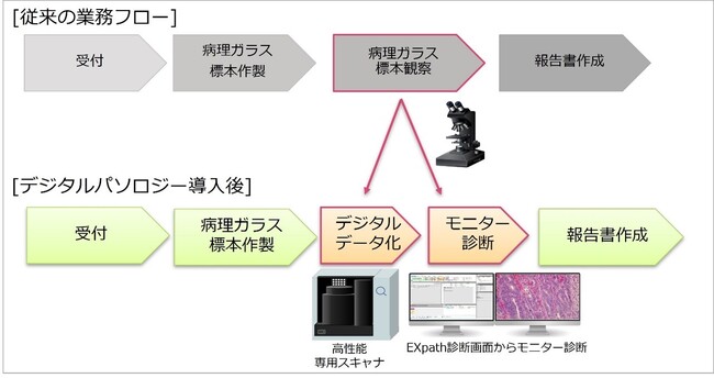 インテック、東京大学医学部附属病院のデジタルパソロジー導入を支援