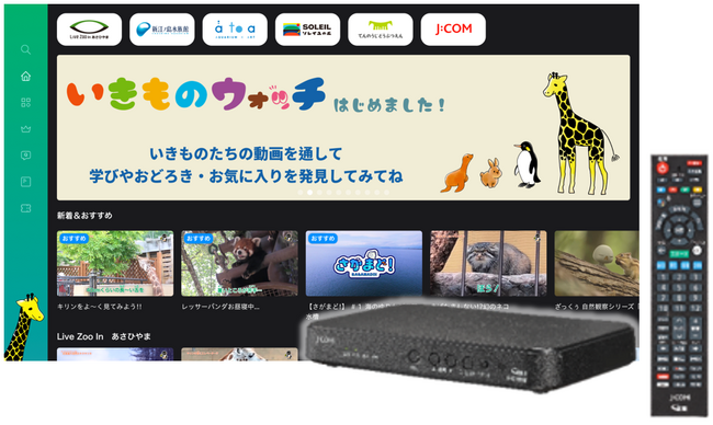 ワクワクと癒しを届ける「J:COM LINK」の新サービス　いきものたちの暮らしや生態を「いきものウォッチ」で6月7日配信開始　新江ノ島水族館や天王寺動物園ほか、各地の水族館・動物園と連携