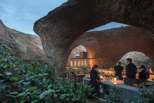 「house & restaurant maison owl (メゾン・アウル) 」2024年日本建築学会作品賞を受賞