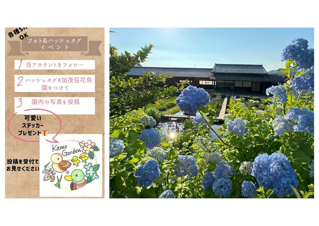 加茂荘花鳥園「フォト&ハッシュタグイベント」のお知らせ