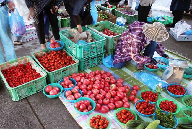 新潟ふるさと村 人気イベント「朝市」開催中!