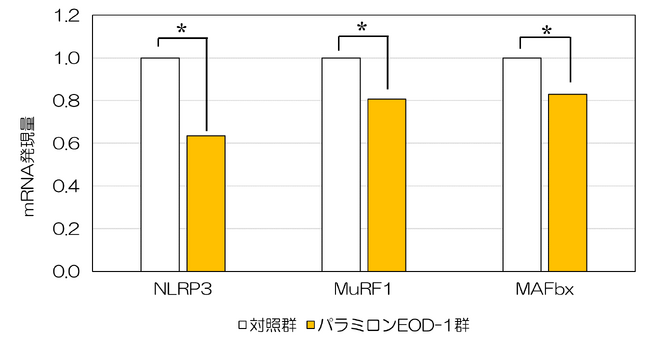 金のユーグレナ(R)（パラミロンEOD-1(R)）の摂取が筋肉細胞を太くする～ 筋萎縮に働く遺伝子の発現が抑制される ～
