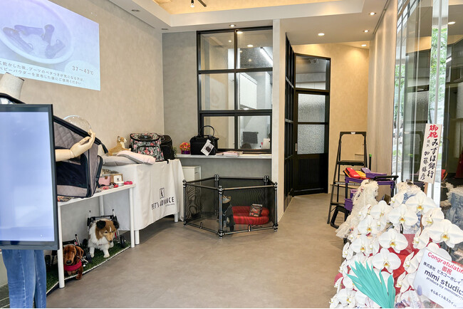 【開催レポート】レンタル撮影スタジオ「mimi studio」内覧会を実施いたしました。