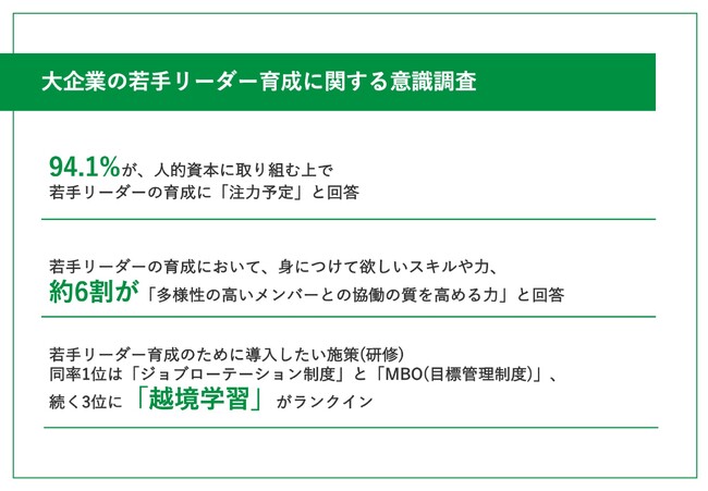 【独自調査レポート】人的資本経営を行う大企業の94.1%が「若手リーダー育成に注力予定」と回答！若手リーダー育成のために導入したい施策(研修)、TOP3は...？