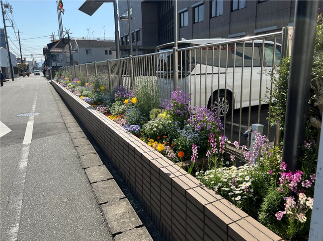【東京都町田市】2024年度春の花壇コンクール審査結果を発表します