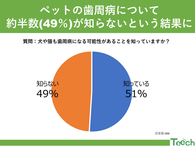 【Teech 歯科コラム】毎月12日はわんにゃんの日！ペットの歯周病について知っていますか？