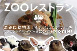トップ画像 トップ画像