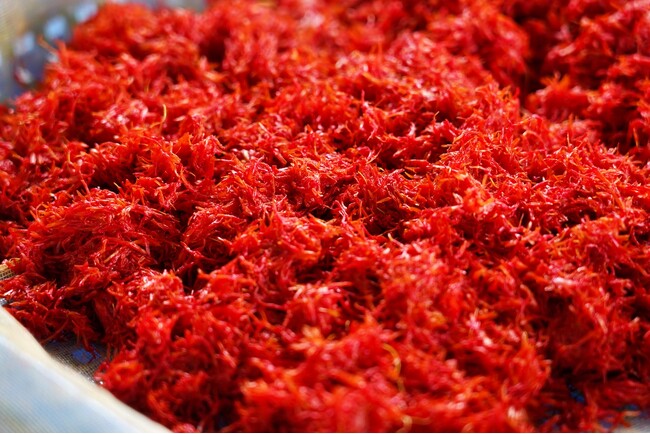 【山形 天童温泉】この時期だけの生の体験。『日本人が恋焦がれた「紅色」の原料「紅花」をめぐる2泊3日』のツアー販売開始
