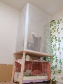 オーダーメイド蚊帳(室内) オーダーメイド蚊帳(室内)