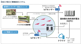 実証システムイメージ 実証システムイメージ