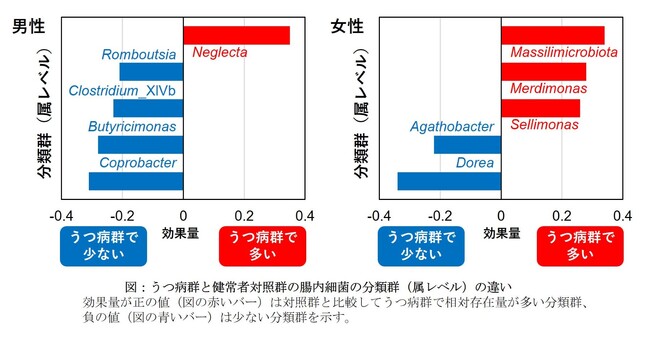うつ病患者に特徴的な腸内細菌叢の異常を解明し、腸内細菌叢の組成データからうつ病リスクを推定する新たな方法を開発 -うつ病の病因解明と早期発見に向けて-