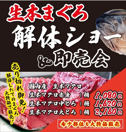 毎月恒例・大好評の「生本まぐろ解体ショー」「サカナタベタイMEGAドン・キホーテ本八幡」2024年6月15日（土）11時より開催！
